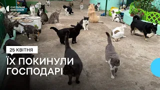 У притулку "Щасливі хвостики" в Миколаївській області живе понад 200 тварин