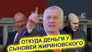 Без бизнеса, но в роскоши! Откуда деньги у сыновей Владимира Жириновского