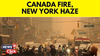 Canadian Wildfire NYC | Smoke From Canadian Wildfire Blankets New York |  English News | News18