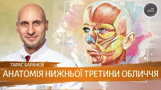 Анатомія нижньої третини обличчя з Тарасом Барановим