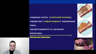 Современные механизмы развития рака и принципы его лечения»