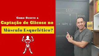 Como ocorre a Captação de Glicose no Músculo Esquelético?