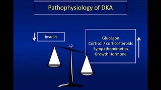 014 Obsgynaecritcare discussion on DKA in pregnancy with Graeme