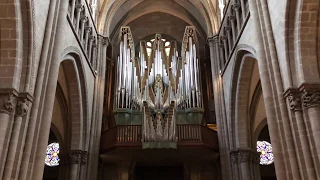 Improvisation on a Genevan Psalm at Geneva Catherdral | Bálint Karosi