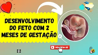 DESENVOLVIMENTO do FETO com 2 MESES DE GESTAÇÃO+SINTOMAS NA MAMÃE❤️️