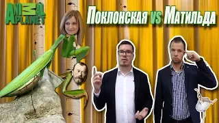 ПОКЛОНСКАЯ И МАТИЛЬДА /РОССИЯ 2017