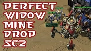 Starcraft 2 How To - Perfect Widow Mine Drop versus Protoss.