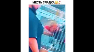 Не смей тащить😂🐔 #прикол #курица #отомстил #больно