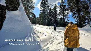 Jalori Pass Trek (THE WINTER WONDERLAND) | Best Trek in Himachal Pradesh | Places to Visit in Jibhi