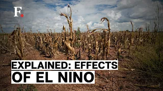 Brace for Extreme Weather as El Nino Impacts Global Temperatures | Firstpost Earth