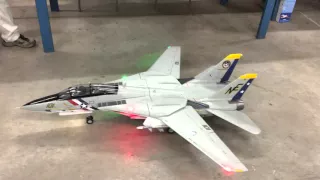 F-14 from Freewing Models