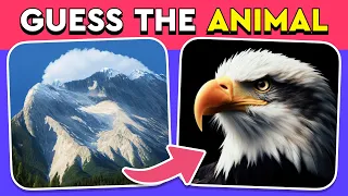 Guess the Hidden Animal by ILLUSION 🐶🐵🐈 Easy, Medium, Hard levels Quiz