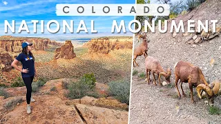 COLORADO NATIONAL MONUMENT | Awesome SHORT HIKES with Incredible VIEWS & WILDLIFE