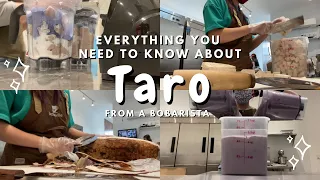 TARO 101💜 what is taro? how do you pick a good taro root? how do you cook taro for boba drinks?