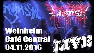 Gorgasm LIVE @ Macho Slam Warmup - Weinheim Cafè Central 04.11.2016 - Dani Zed