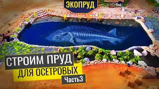 Строительство пруда для осетровых(часть3)