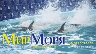 Шоу  "Мир моря" Минский дельфинарий