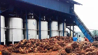 Palm oil processing solution -- Palm fruit& kernel processing, Refining, Fractionation line