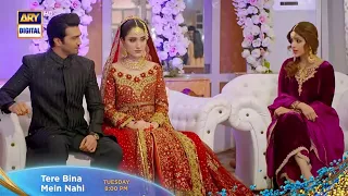 Tere Bina Mein Nahi Episode 9 Promo Ary Digital #arydigital #soniyahussain #shehzadsheikh