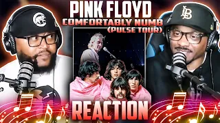 Pink Floyd - Comfortably Numb (Pulse Tour) (REACTION) #pinkfloyd #reaction #trending