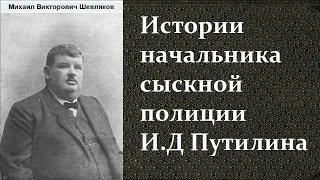 Михаил Шевляков. Истории начальника сыскной полиции И.Д Путилина. Аудиокнига.