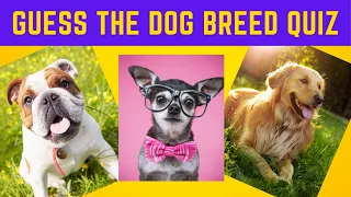 Guess the Dog Breeds Quiz