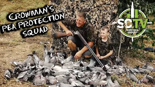 Shooting & Country TV | Shooting with Andy Crow 7 | Pigeon shooting over peas