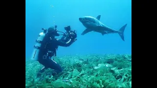 Andy Casagrande: Filming Great White Sharks Uncaged, Cinematography and Life Lessons