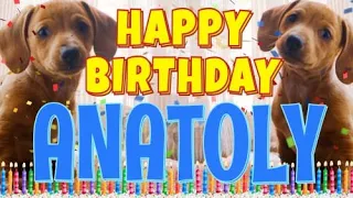 Happy Birthday Anatoly! ( Funny Talking Dogs ) What Is Free On My Birthday