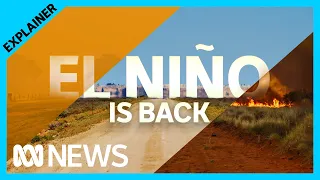 El Niño has been declared. Here's how it works  | ABC News