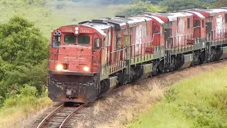 Trem de celulose "Vaca Verde" chegando em Bauru-SP.