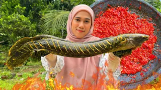 GIANT CATFISH PECEL LELE LEMBAT || Gurihh Berapiiii ! How to clean and cook delicious cat fish