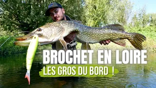 Pêche du brochet dans la Loire : Du bord au Big bait !