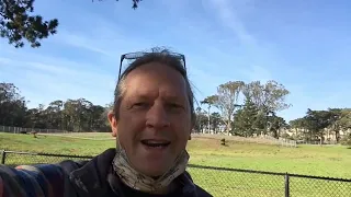 On Location: The Golden Gate Park Bison Paddock, San Francisco