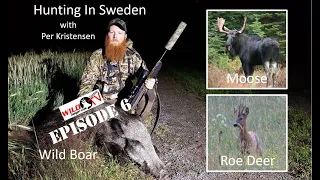 Season 1 Episode 6 - Hunting Roe Deer, Wild Boar & Moose In Sweden With Per Kristensen V305