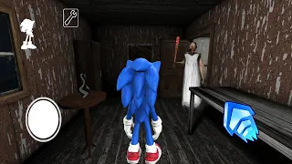 Playing as Sonic the Hedgehog in Granny's Old House | Sewer Escape Mod