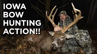 Beautiful Iowa Buck!! | November Bowhunting Action!