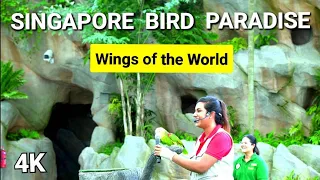 Bird Paradise Singapore |  Singapore Bird Park Show | Wings of the World |  Predators on Wings