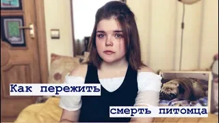 Моя История// Как Пережить Смерть Питомца