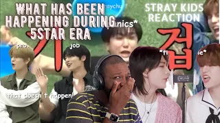 Reacting to Stray kids being 5 start funnier during s-class era by straychu