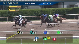 Gulfstream Park Carrera 2 - 21 de Febrero  2019