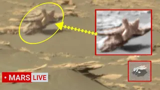 Mars Perseverance Rover Sends Shocking Pictures- Nasa's Curiosity Mission Update 2022-2023 P-2