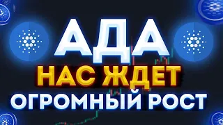 КАРДАНО ПОКАЖЕТ ОГРОМНЫЙ РОСТ В КОНЦЕ НОЯБРЯ?