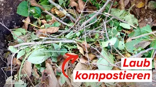 Laub kompostieren - Diesen Fehler solltest du unbedingt vermeiden!
