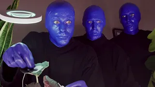 Music for Plant Growth 🌿 Blue Man Group Music Video