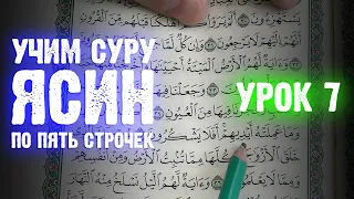 Урок 7 - Учим "ЯСИН" (по пять строчек) / 36-я сура Корана