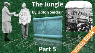 Part 5 - The Jungle Audiobook by Upton Sinclair (Chs 18-22)