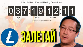 ТРЕТИЙ ХАЛВИНГ LITECOIN НЕ ТО ЧТО ВЫ ДУМАЕТЕ...