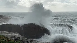 Big Santa Cruz waves draw crowds, more rescue calls