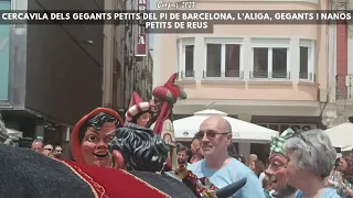 Cercavila dels gegants petits del pi, l'aliga, gegants i nanos petits de Reus - Corpus de Reus 2023